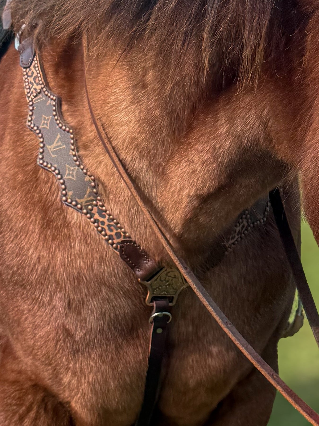 Designer Cheetah Economy Line Tack Set