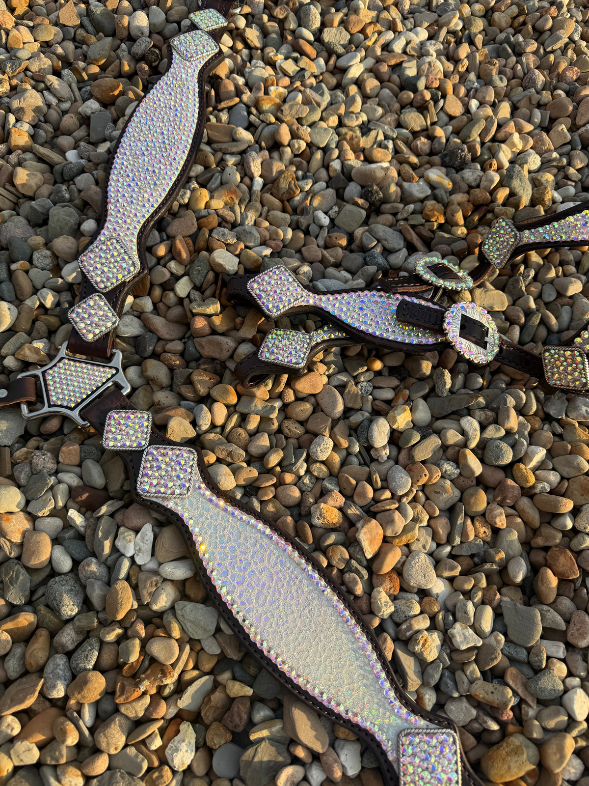 Irridescent Bling/Cheetah Premium Tack Set