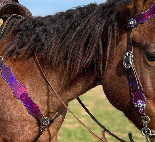 Boujee Purple Hollographic Economy Tack Set