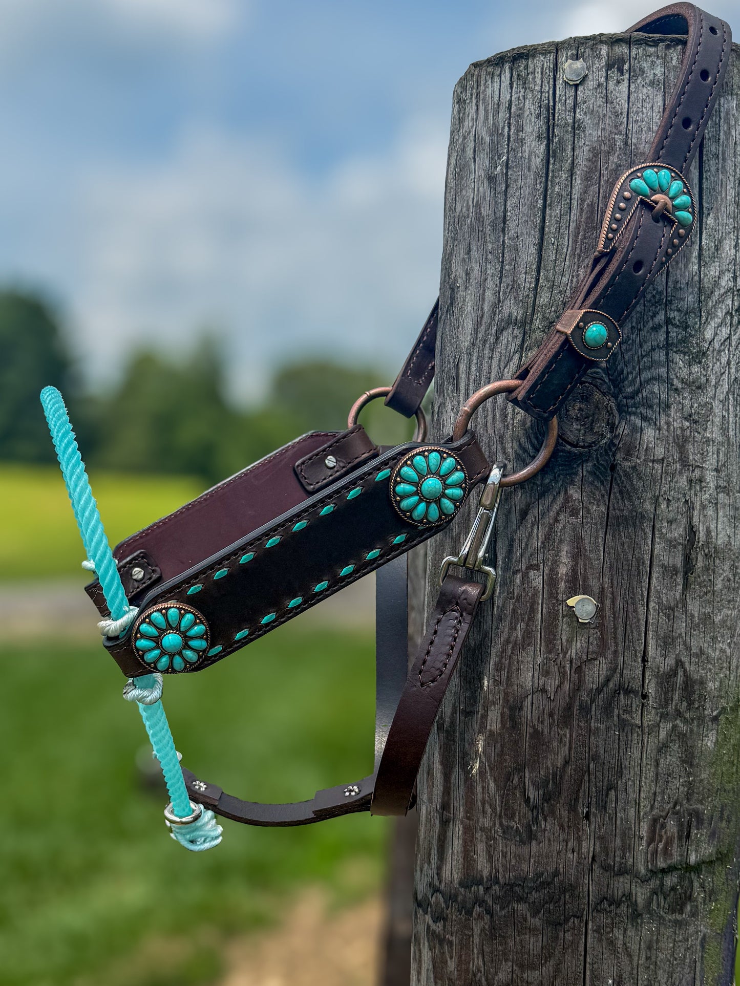 Turquoise Buckstitch Hater