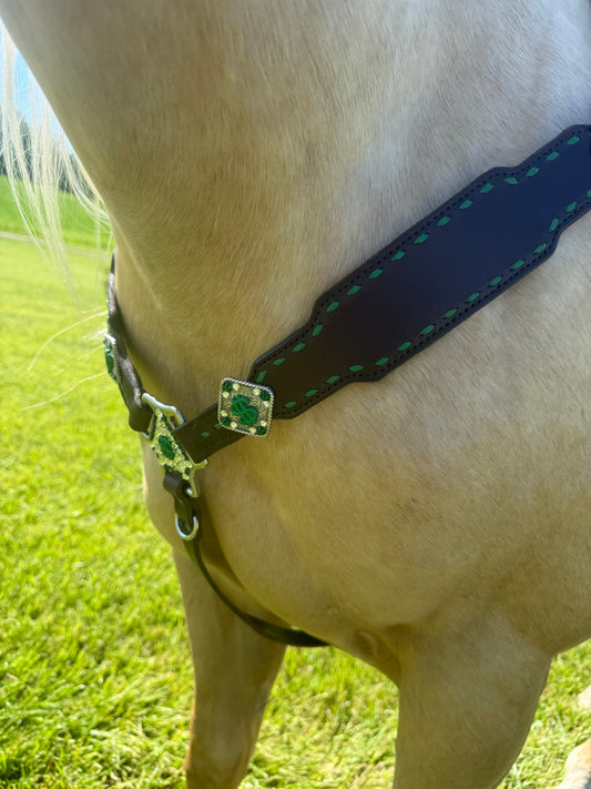 Money Buckstitch Tack Set