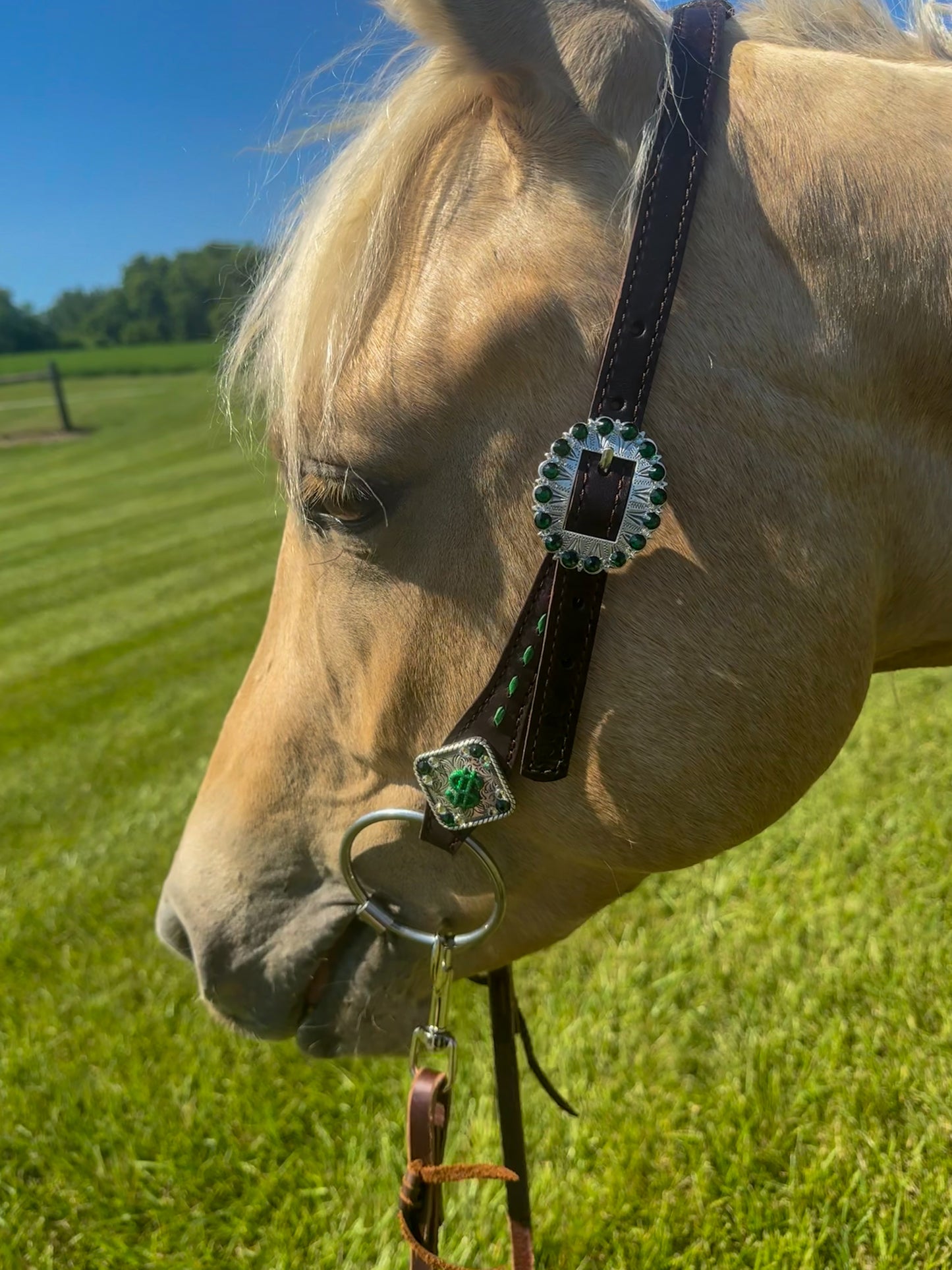 Money Buckstitch Tack Set