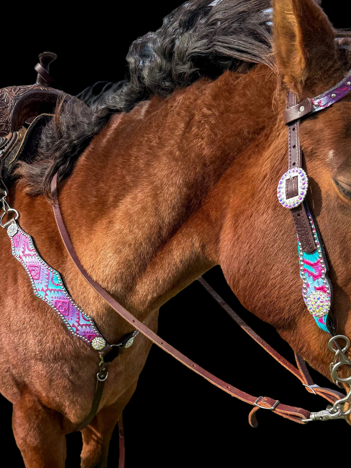 Cotton Candy Aztec Economy Line Tack Set