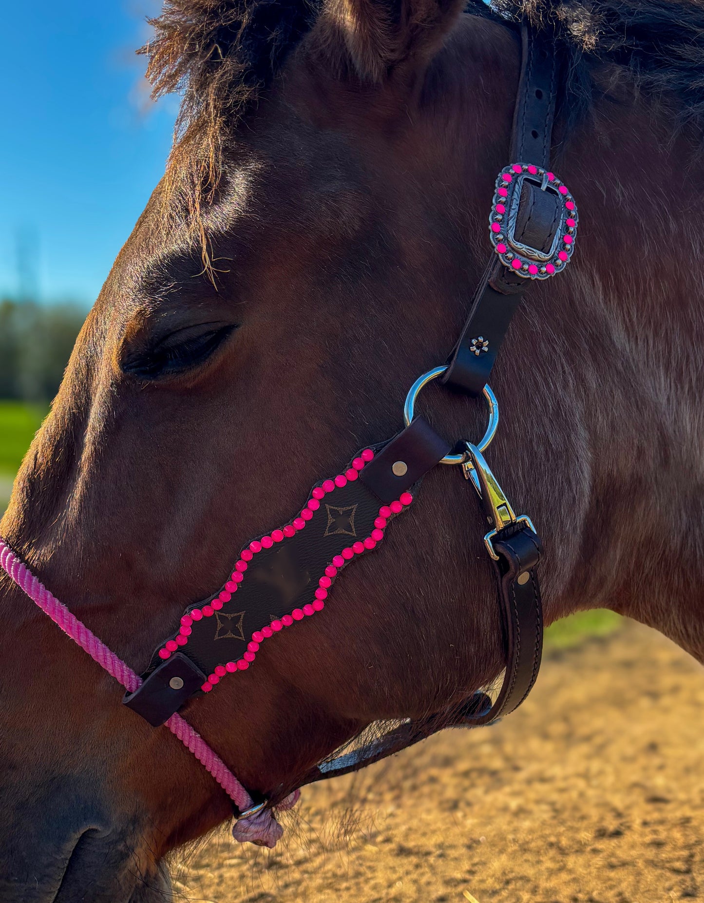 Boujee Hybrid halter