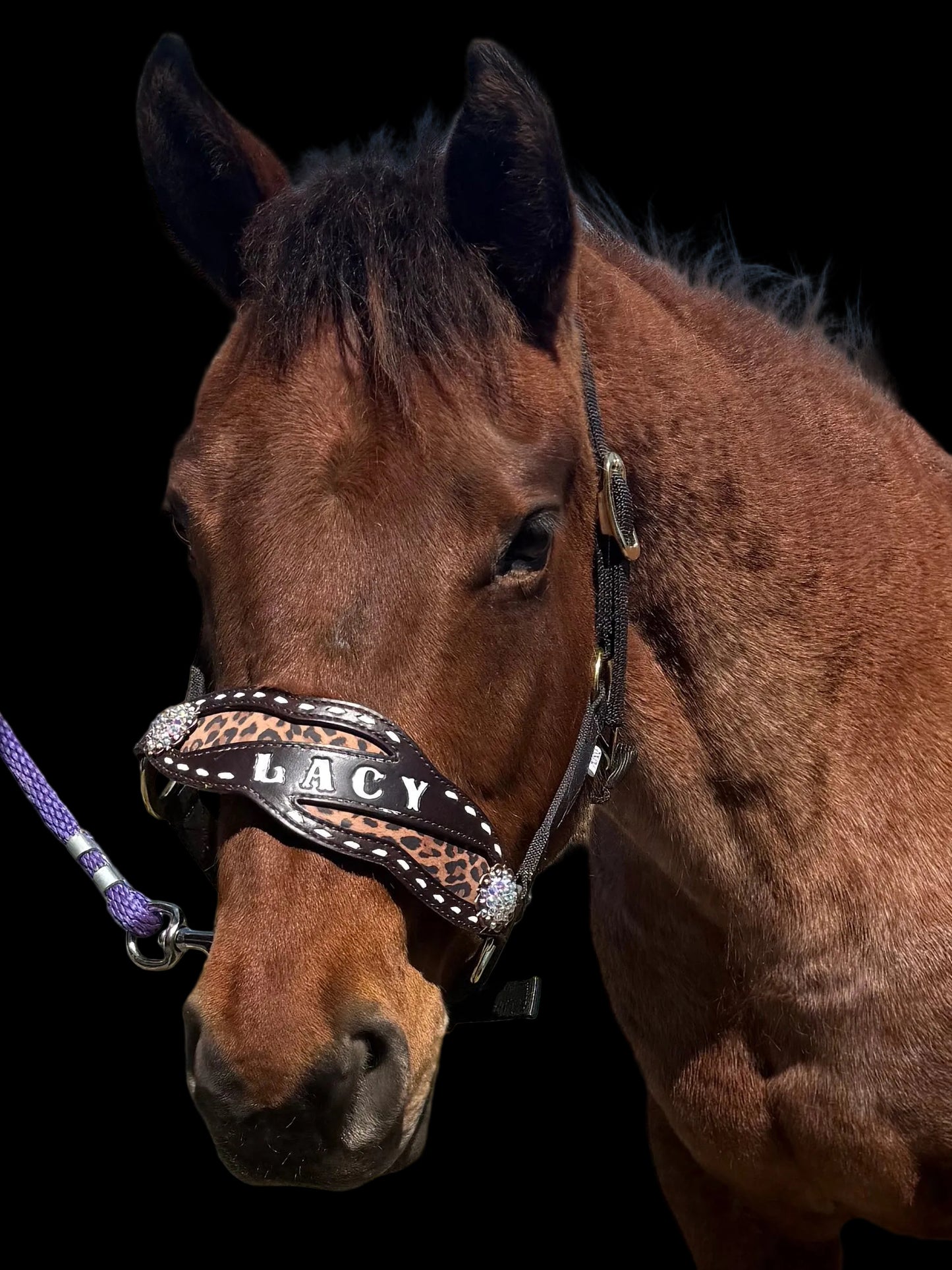Custom Name Buckstitch Noseband Only(Made to Order)