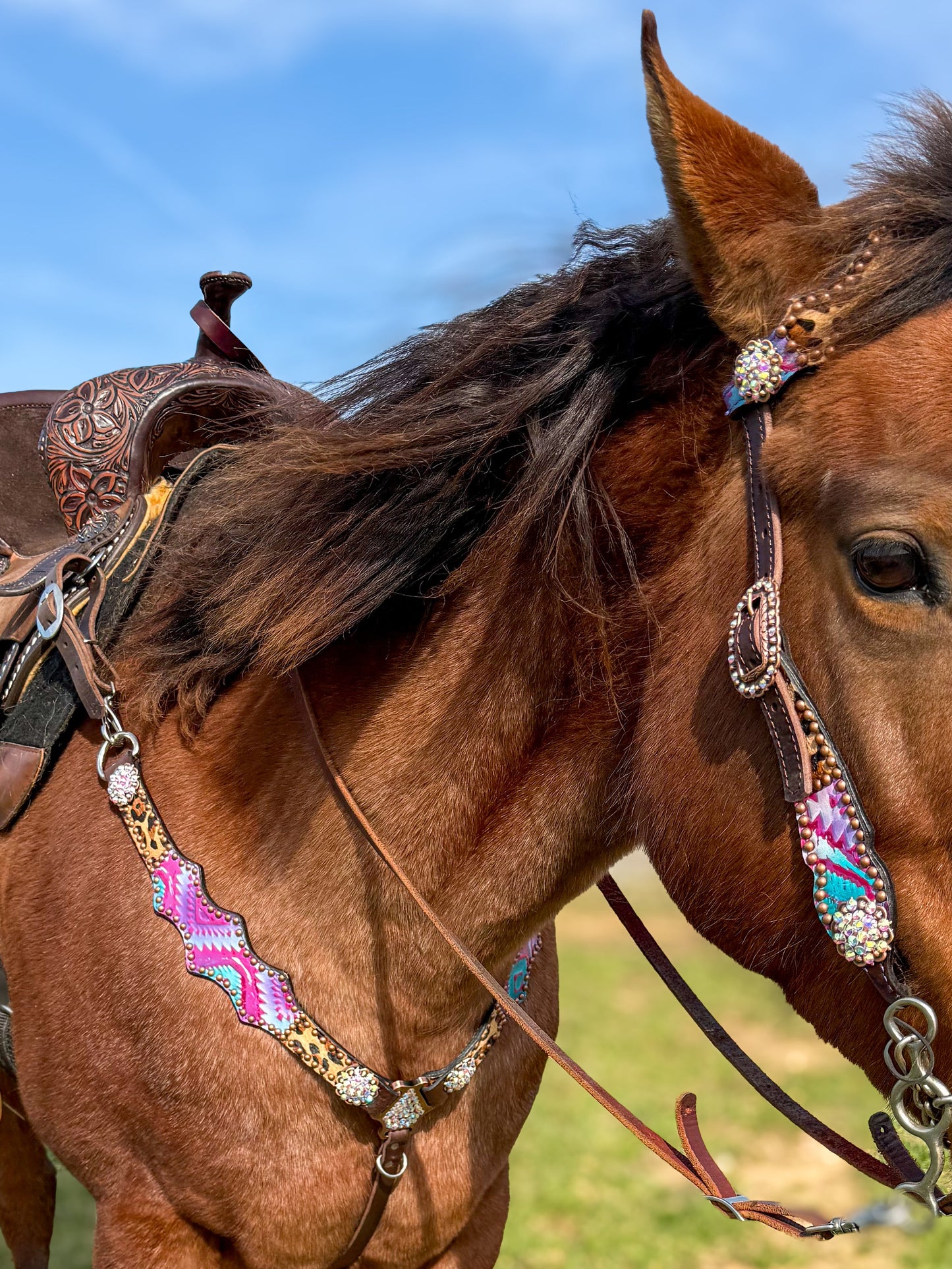 Aztec Cheetah Hair On Hide Economy Line Tack Set MADE TO ORDER