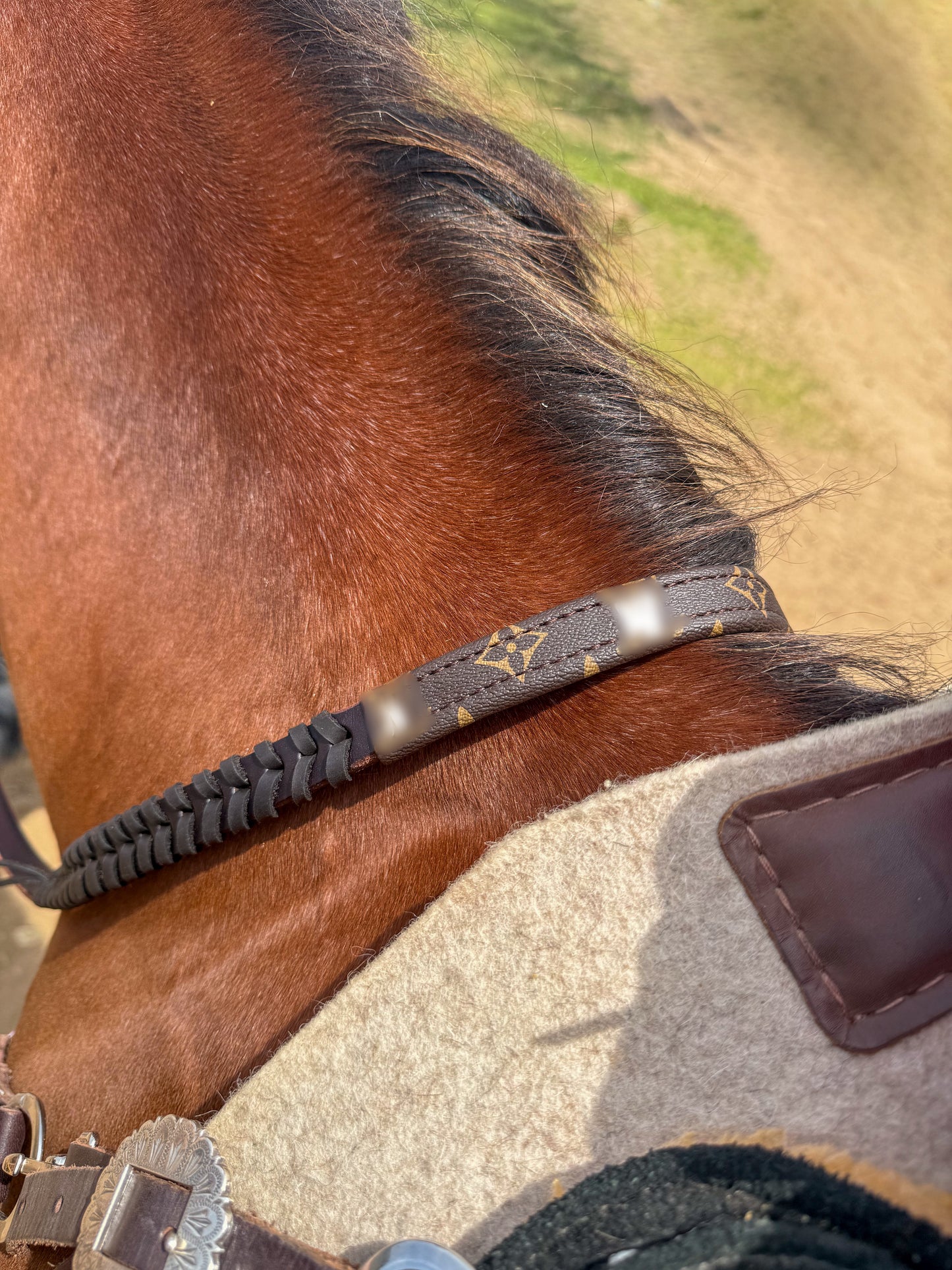 8ft Laced Designer 3/4” wide Rein