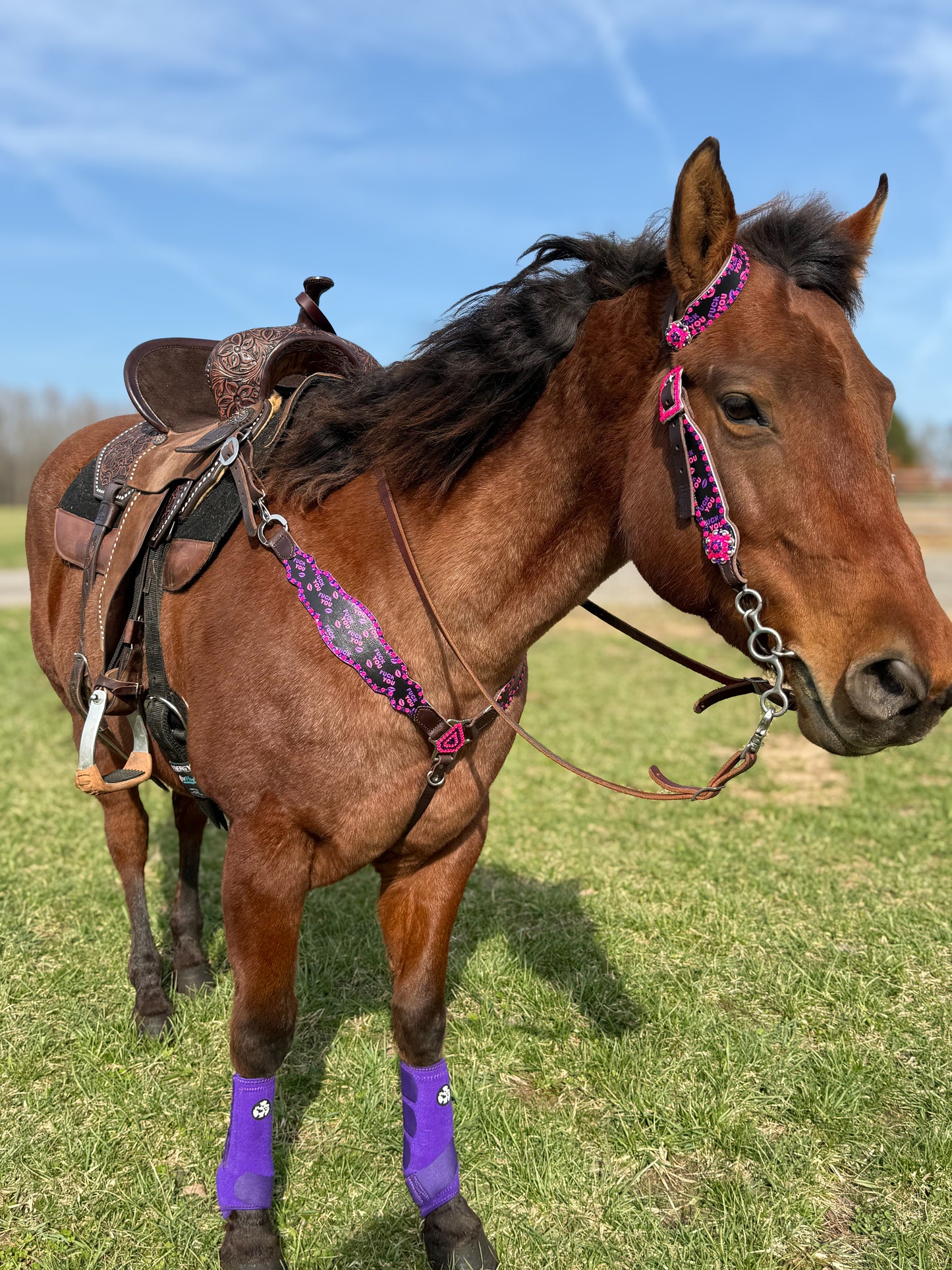 F YOU Economy Line Tack Set MADE TO ORDER