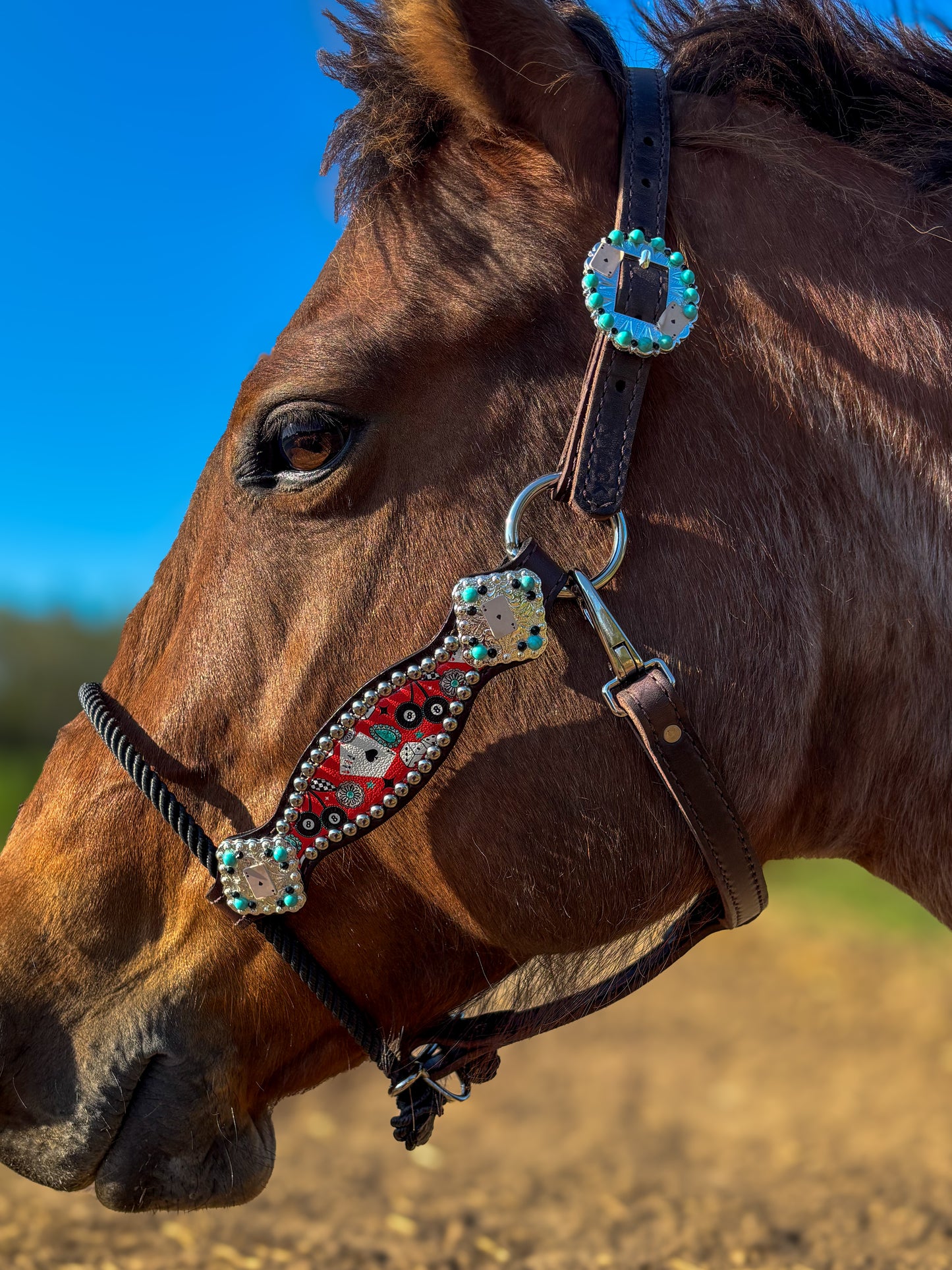 Red casino/gambler hybrid halter average horse size