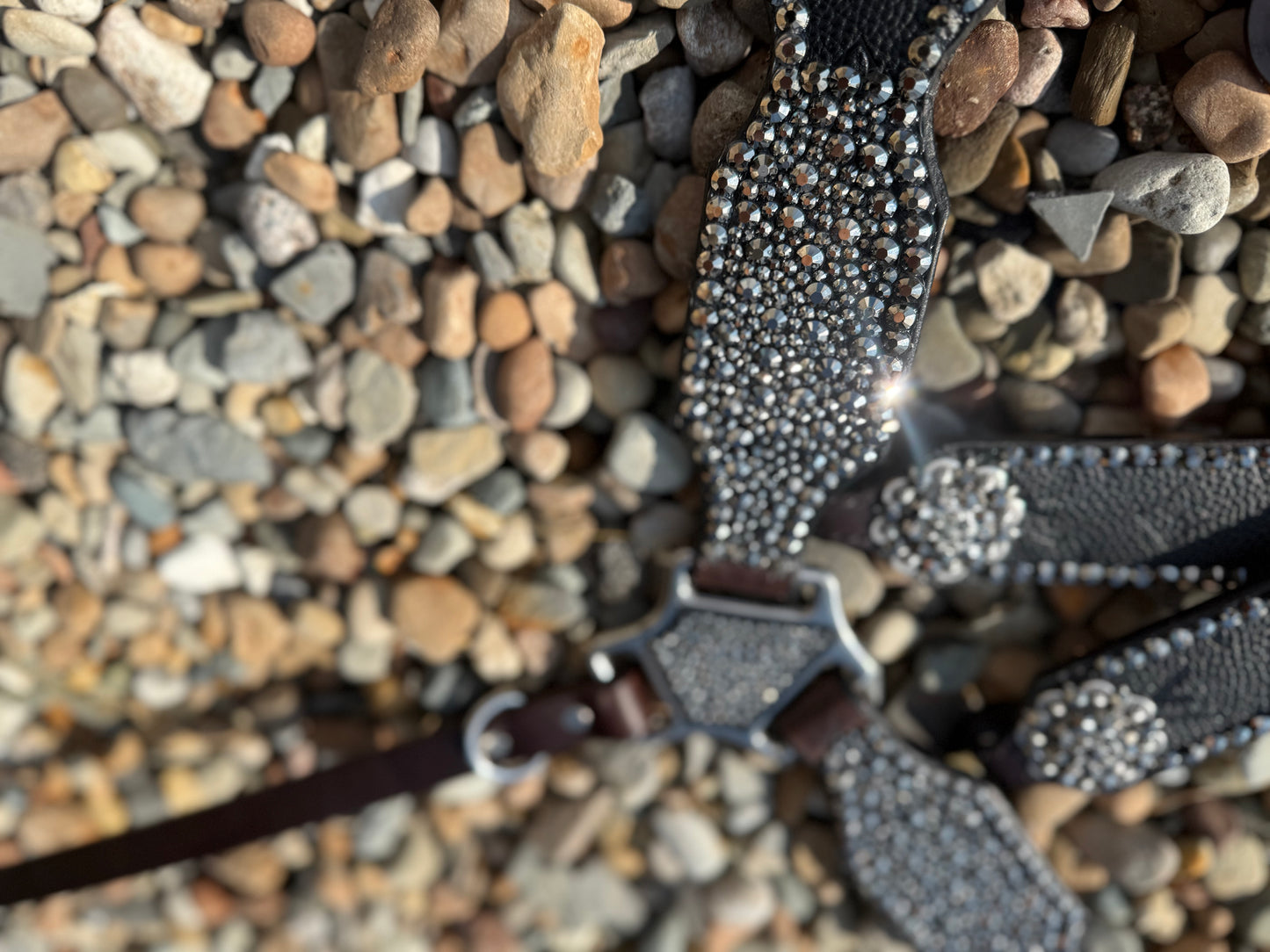 Black and Boujee Premium Tack Set *IN STOCK*