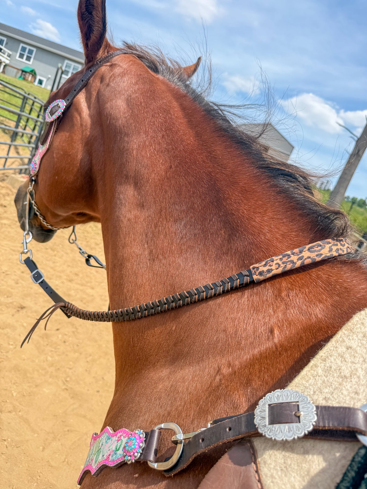 Reins