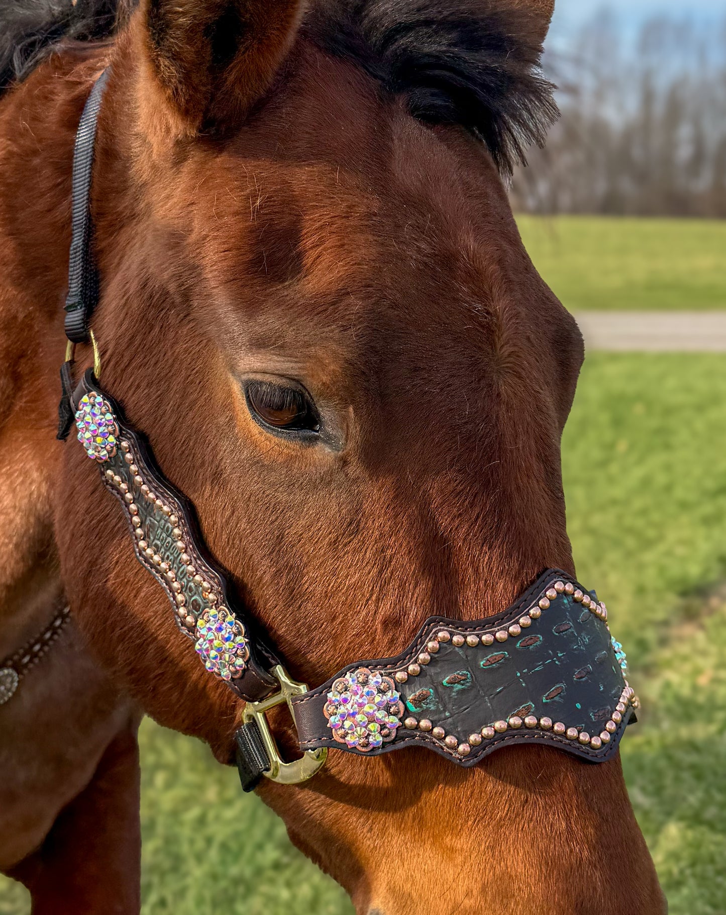 Lagoon Gator Halter