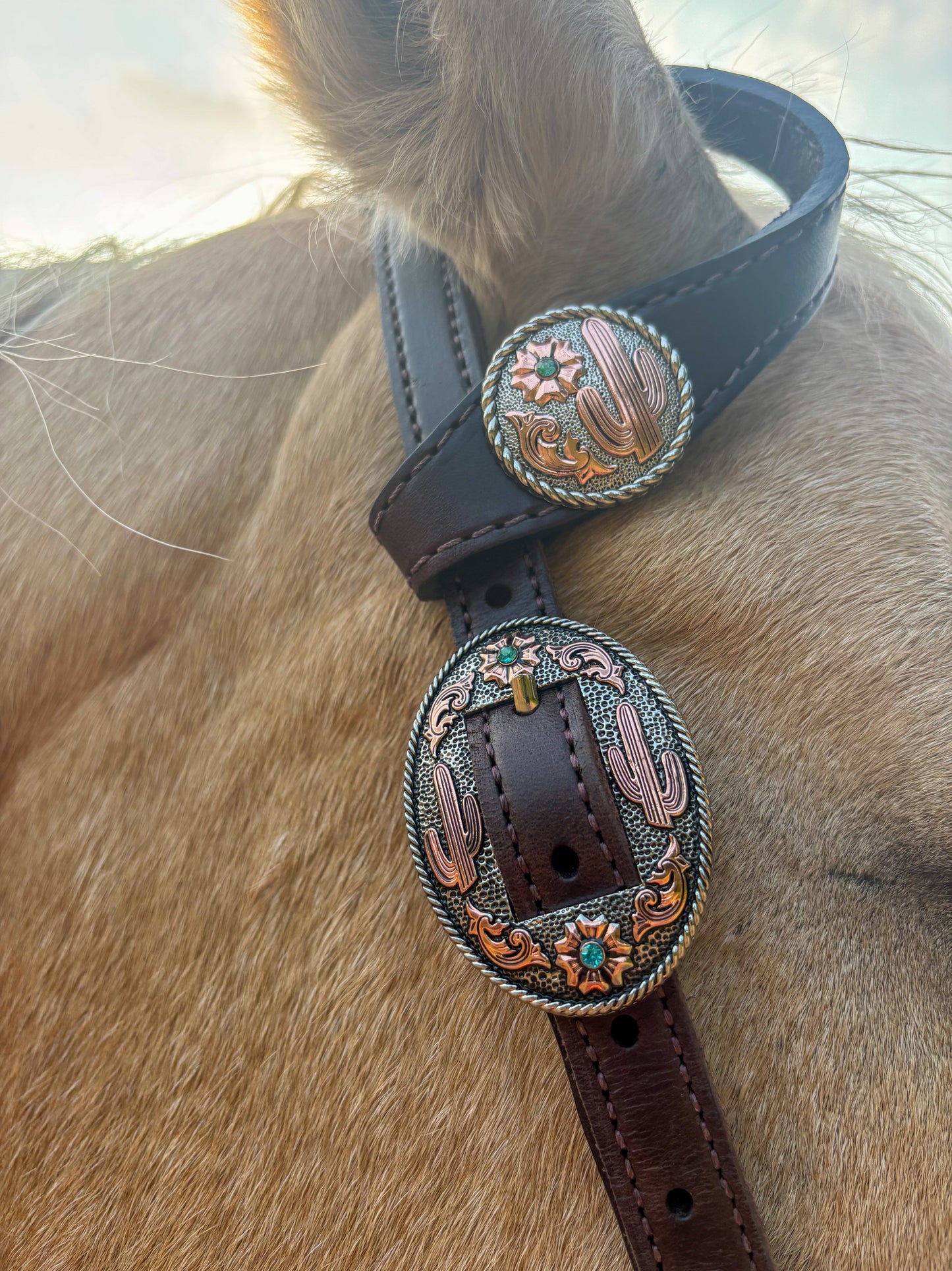 Cactus Flower Working Headstall