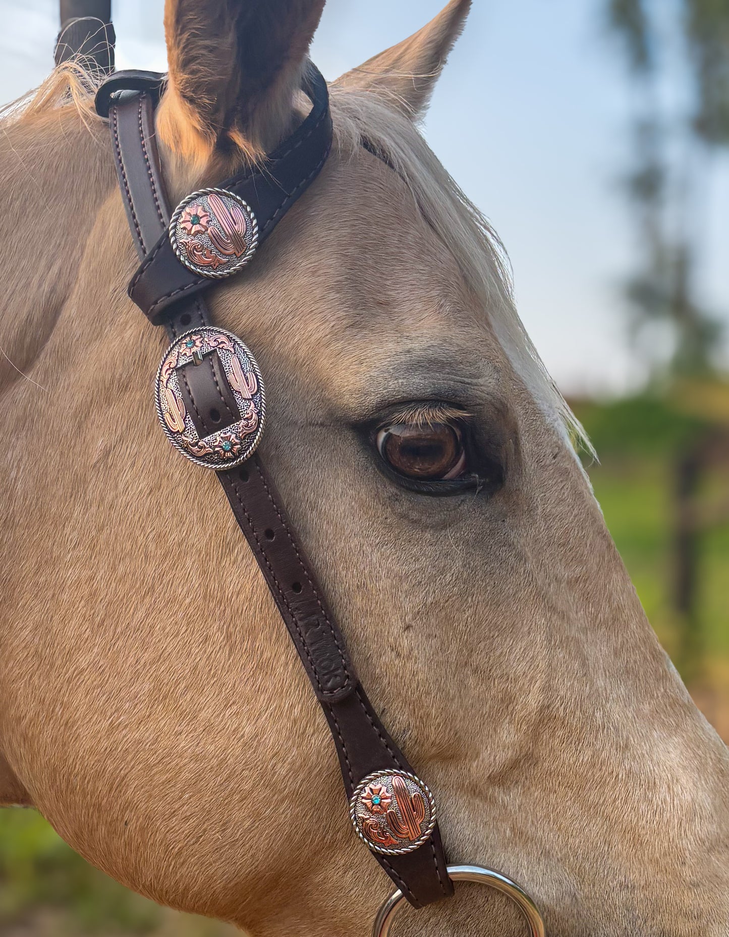 Cactus Flower Working Headstall