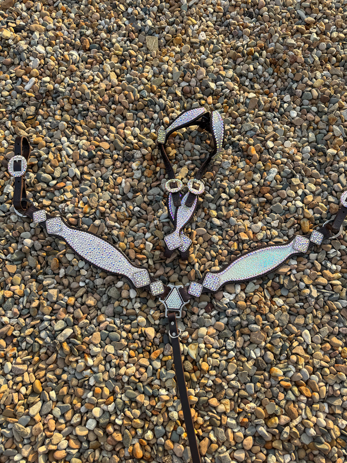 Irridescent Bling/Cheetah Premium Tack Set