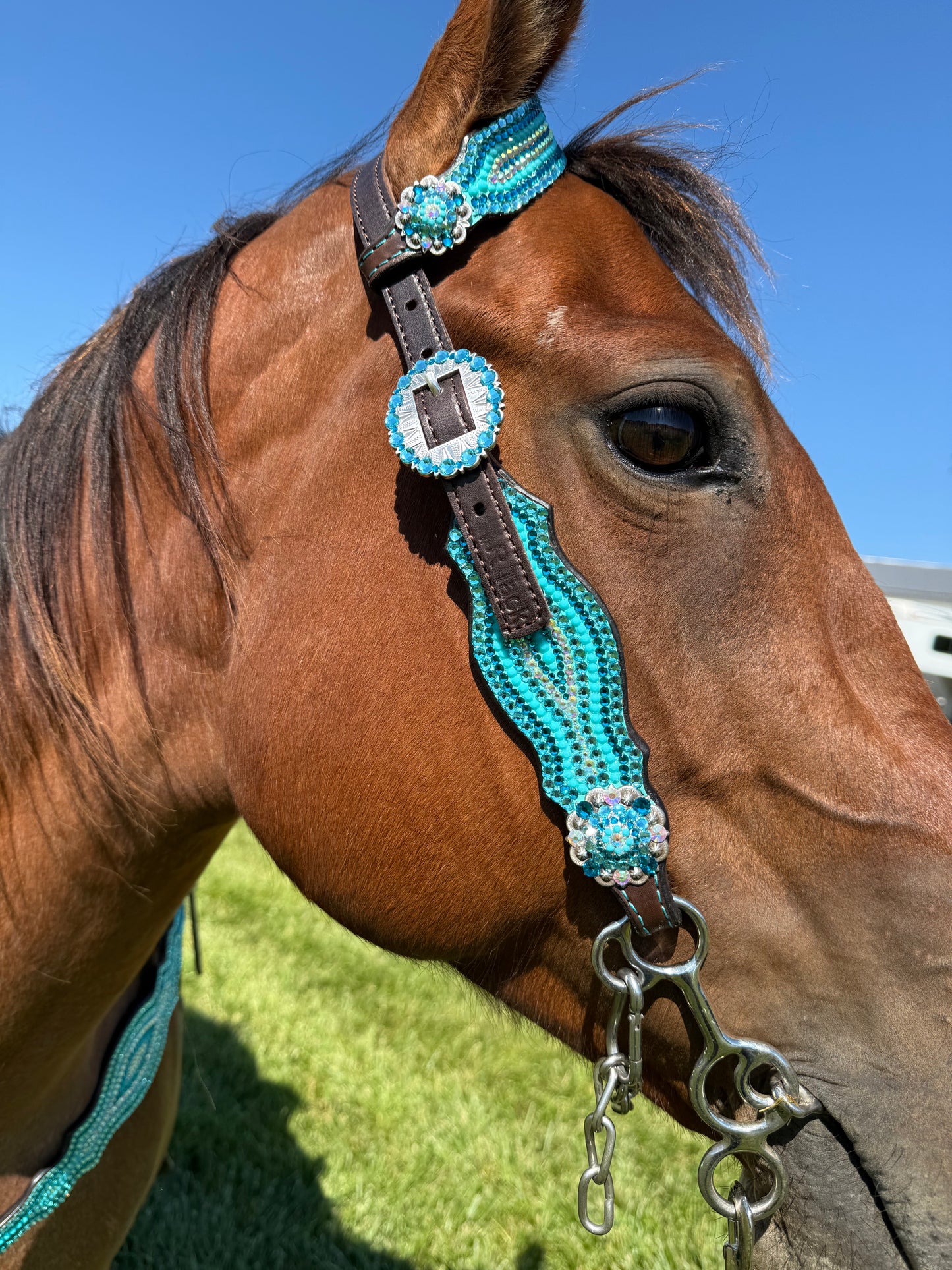 Turquoise Bling Pattern Tack Set