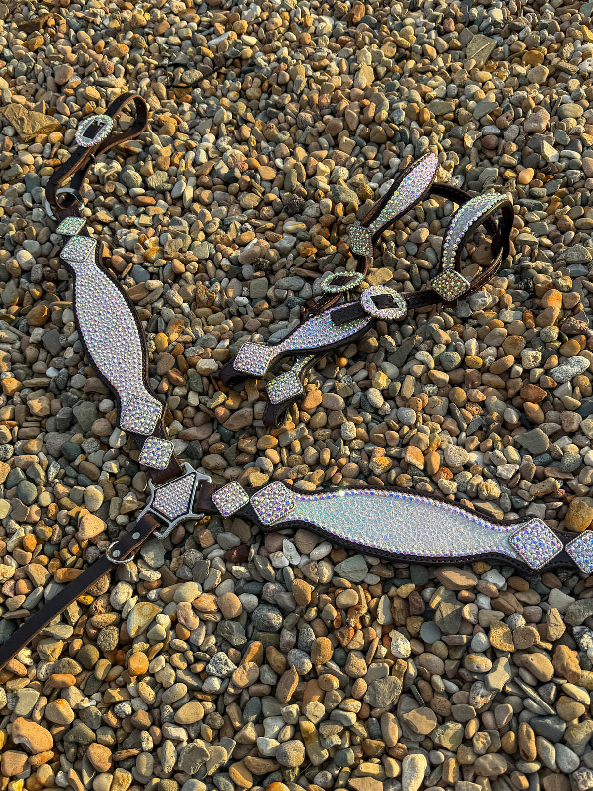 Irridescent Bling/Cheetah Premium Tack Set