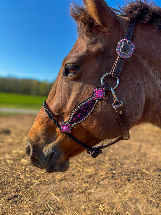 F you Hybrid Halter average horse size