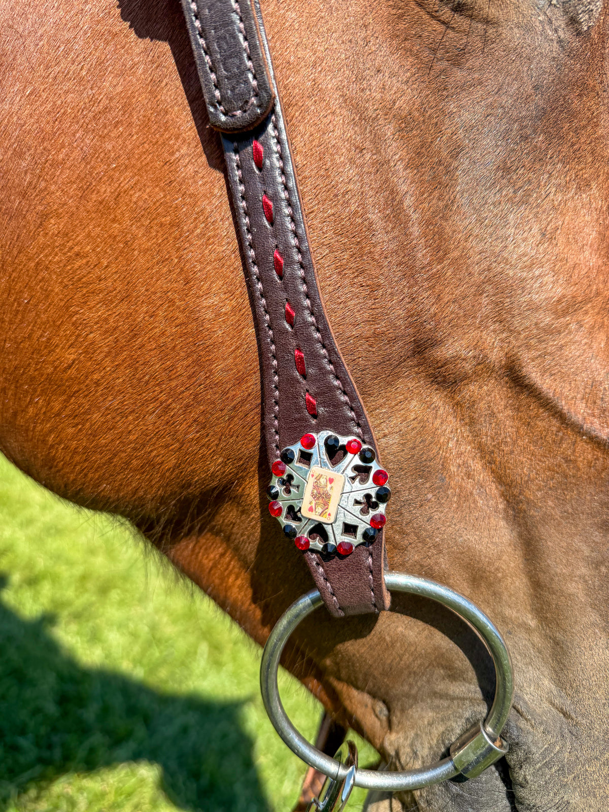 Red Buckstitch Casino Set