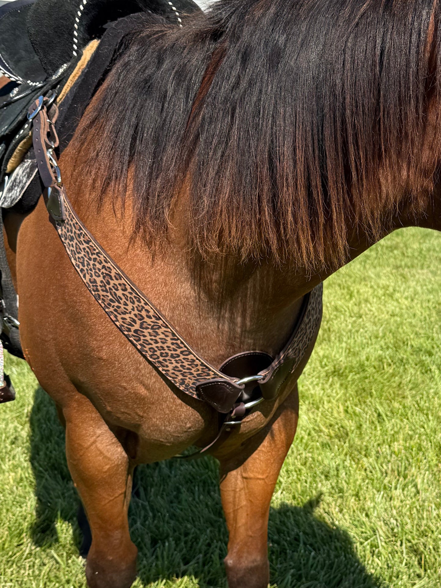 Roper Style Breast Collars