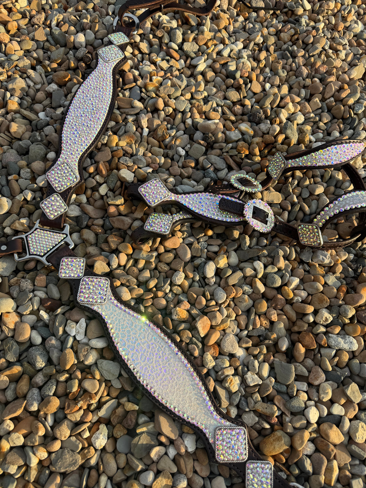 Irridescent Bling/Cheetah Premium Tack Set