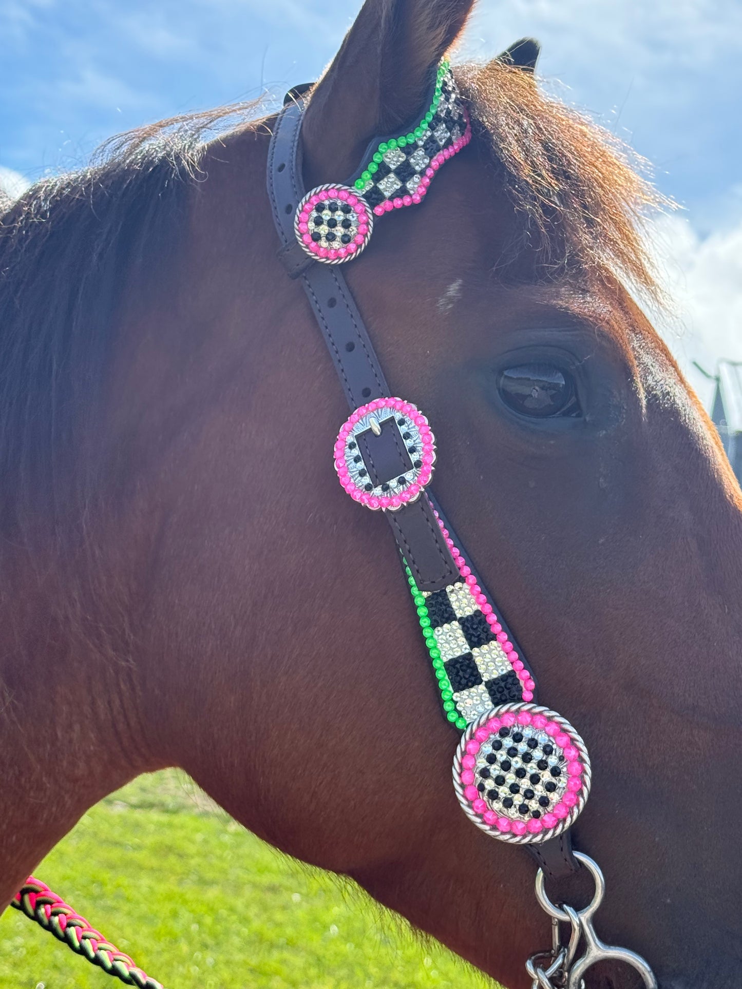 UPGRADED CHECKERS IN STOCK