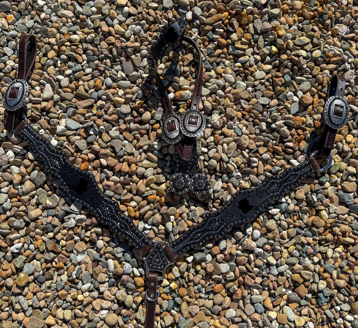 Designer Black Premium Tack Set